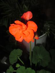 EIMG_7895