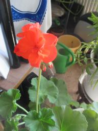 EIMG_7897