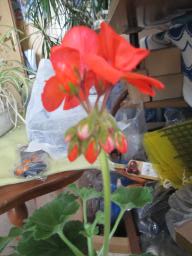 EIMG_7899