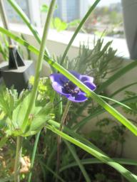 EIMG_7900