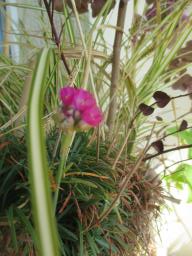 EIMG_7902