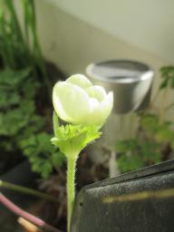 EIMG_7905