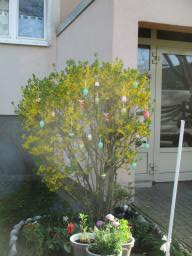 EIMG_7906