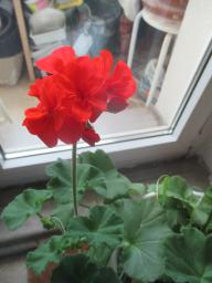 EIMG_7912