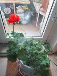 EIMG_7913