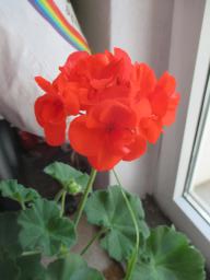 EIMG_7924