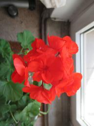 EIMG_7925