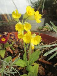 EIMG_7927