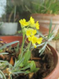EIMG_7928