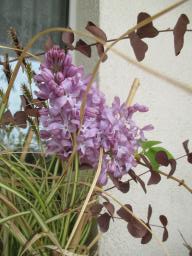 EIMG_7932