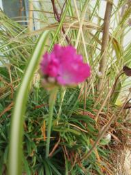 EIMG_7933