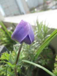 EIMG_7934