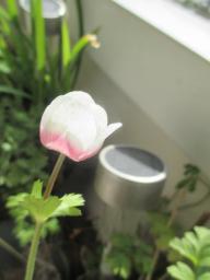 EIMG_7936