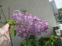 EIMG_7938
