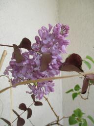 EIMG_7939