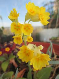 EIMG_7944