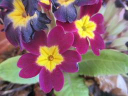 EIMG_7945