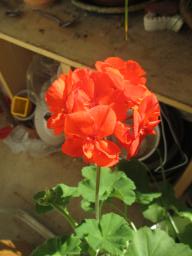 EIMG_7948