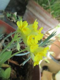 EIMG_7949