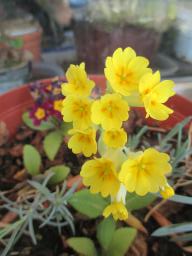 EIMG_7952