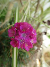 EIMG_7953