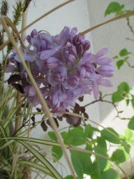 EIMG_7954