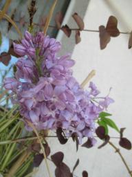 EIMG_7955