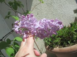 EIMG_7956