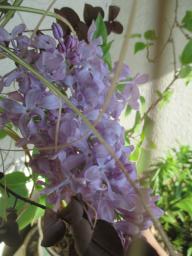 EIMG_7957