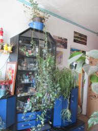 EIMG_7968