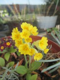 EIMG_7971