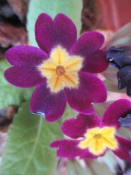 EIMG_7972