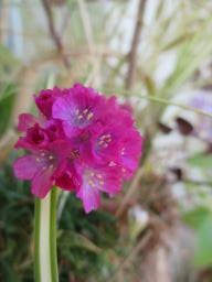 EIMG_7973