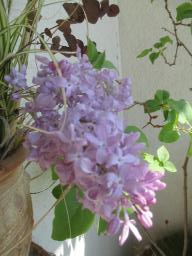 EIMG_7974