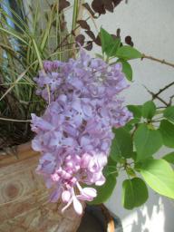 EIMG_7975