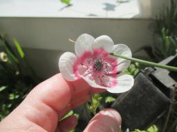 EIMG_7976