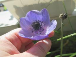 EIMG_7977