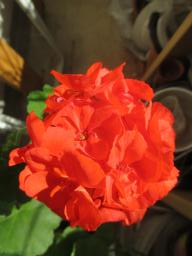 EIMG_7982