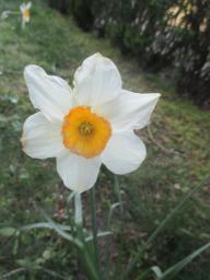 EIMG_7992