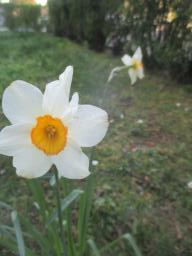 EIMG_7993