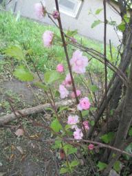 EIMG_7994