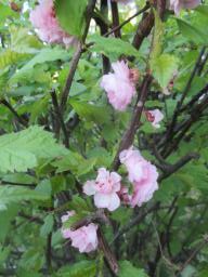EIMG_7995