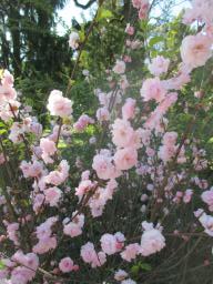 EIMG_8001