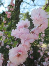 EIMG_8002