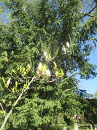 EIMG_8003