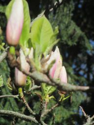 EIMG_8004