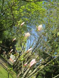 EIMG_8005