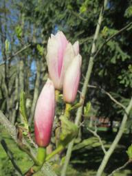 EIMG_8006