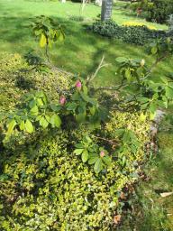 EIMG_8007