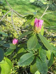 EIMG_8008